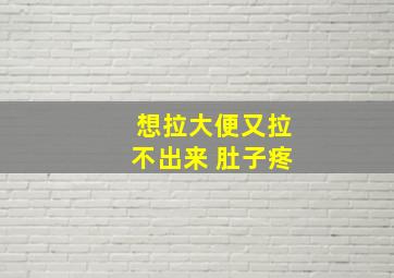 想拉大便又拉不出来 肚子疼